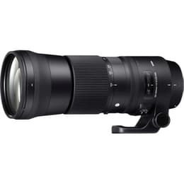 Lente Canon EF 150-600mm f/5-6.3