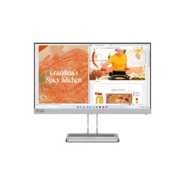 21-inch Lenovo L22i-40 1920 x 1080 LED Monitor Cinzento