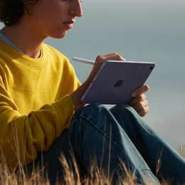 iPad mini (2021) 6ª geração 256 Go - WiFi - Rosa