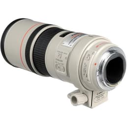 Lente EF 300mm f/4