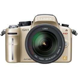 Outro Lumix DMC-GH1 - Dourado + Panasonic Panasonic Lumix G VARIO 14-140 mm f/4-5.8 f/4-5.8 f/3.5-5.6