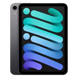 iPad mini (2021)