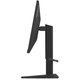 24,5-inch Lenovo G25-10 1920 x 1080 LED Monitor Preto