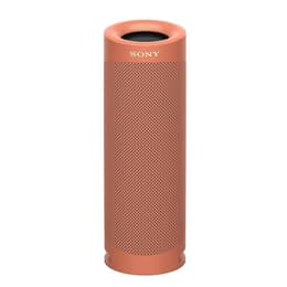 Sony SRS-XB23 Bluetooth Speakers - Castanho