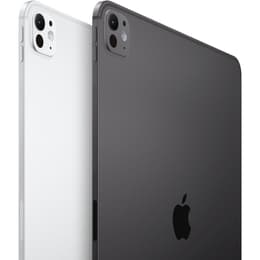 iPad Pro 13 M4 (2024) 7ª geração 512 Go - WiFi + 5G - Preto Sideral