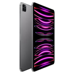 iPad Pro 11" (2022) 4ª geração 1000 Go - WiFi + 5G - Cinzento Sideral