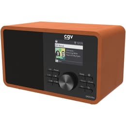 Cgv DR25-REC Rádio alarm