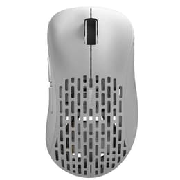 Pulsar Xlite V2 Medium (size 2) Rato Sem fios