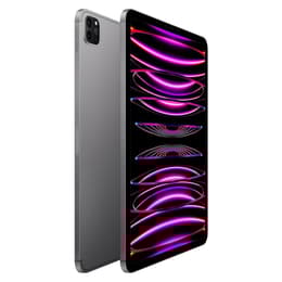 iPad Pro 11 (2022) 4ª geração 128 Go - WiFi + 5G - Cinzento Sideral