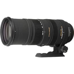 Sigma Lente 150-500mm f/5-6.3 DG OS HSM 150-500mm f/5-6.3