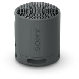 Sony SRS-XB100 Bluetooth Speakers - Preto