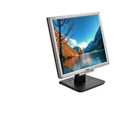 19-inch Acer 1916Cs 1280 x 1024 LCD Monitor Cinzento