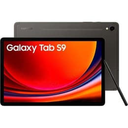Galaxy Tab S9 256GB - Cinzento - WiFi + 5G