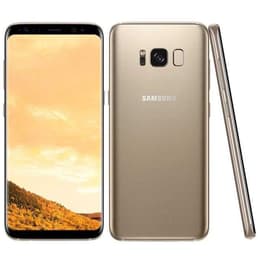 Galaxy S8 64GB - Dourado - Desbloqueado