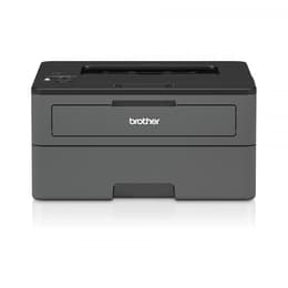 Brother HL-L2370DN Laser monocromáticas