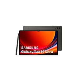 Galaxy Tab S9+ 256GB - Cinzento - WiFi + 5G