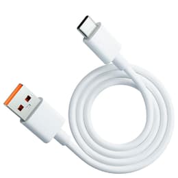 Cabo (USB) 100W - Evetane