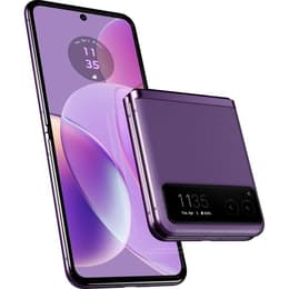 Motorola Razr 40 256GB - Violeta - Desbloqueado