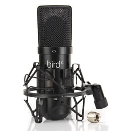 Bird Instruments UM1 Acessórios De Áudio
