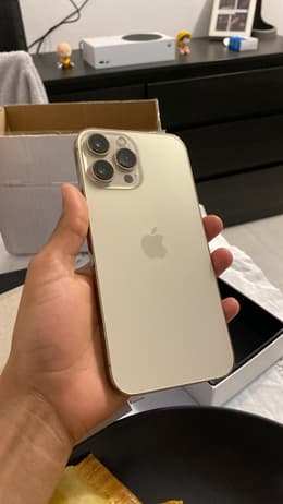 iPhone 13 Pro Max 256GB - Dourado - Desbloqueado | Back Market