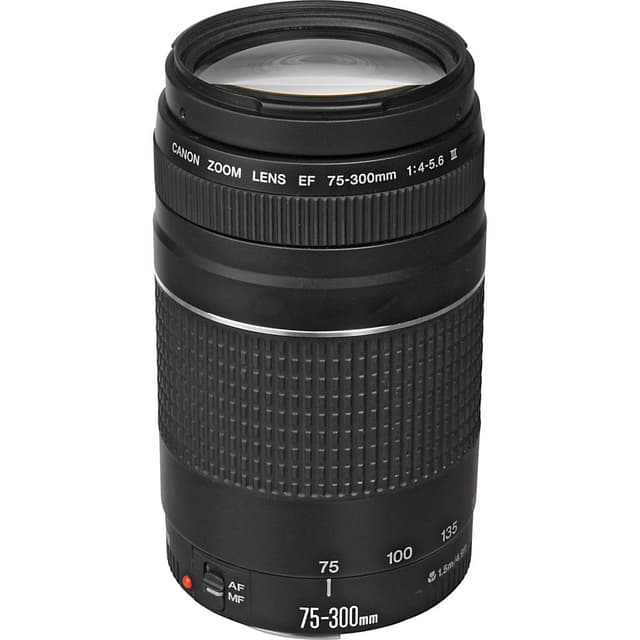 Lente Canon EF 75-300mm f/4-5.6